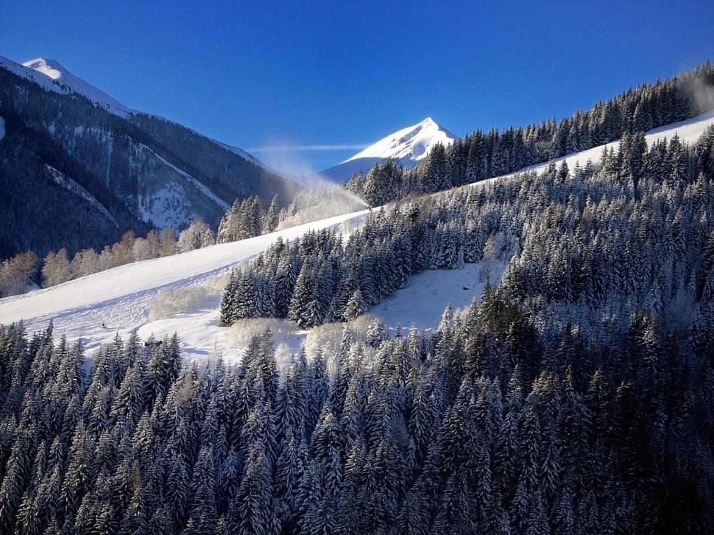 Mh Appartement Hochwimmer Saalbach-Hinterglemm Exteriér fotografie